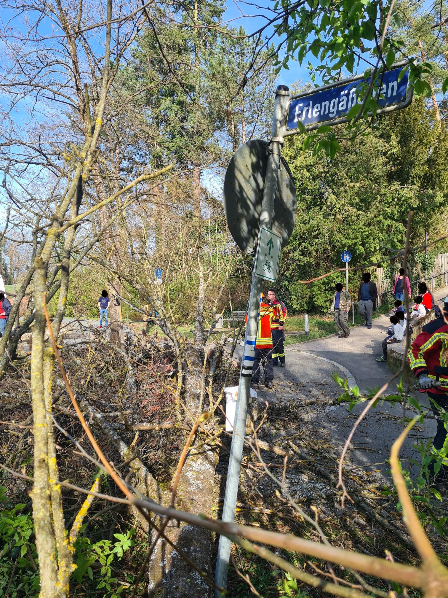 20260405_171059 bearbeitet.jpg